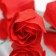 Soap roses, red, set of 9 pcs.