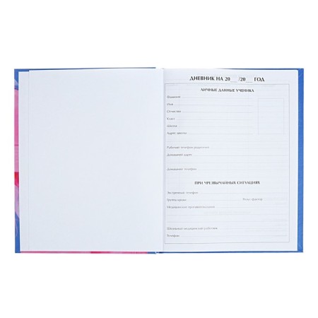 Diary for grades 5-11 "Shine!", Firm cover, glossy lamination, 48 sheets-3