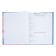 Diary for grades 5-11 "Shine!", Firm cover, glossy lamination, 48 sheets