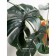 Decorative plant in the cement pot of Monster, 15 × 15 × 89 cm