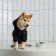 Off-DOG sweatshirt for dogs (foot with a hose), size L (DS 35, Osh 42-44, OG 54-58), black