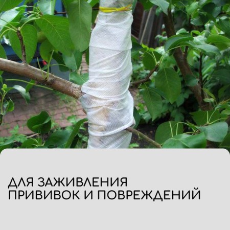 Бинт садовый, 10 × 0,08 м, плотность 60 г/м², спанбонд с УФ-стабилизатором, белый, Greengo, Эконом 20%-1