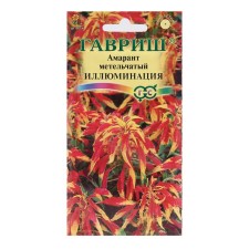 Flower seeds amaranth tricolor 