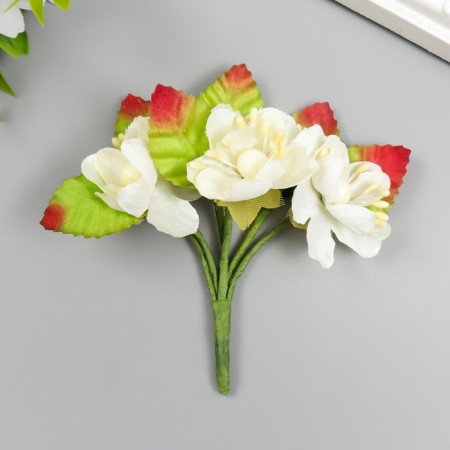 Flowers for decorating "Qinia" 1 bouquet = 6 colors 9 cm cream-1