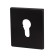 Decorative decorative overlay on the ET Protector/USS BL, black