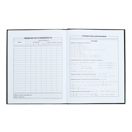 Universal Diary Grade 1-11, 48 raccoon sheets, solid cover, foil embossing, glossy lamination, universal cheat sheet, block 65 g/m2-8