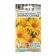 Flower seeds heliopsis rough "sultry sun", 0.2 g