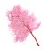 Sukhotzet "Paporotnik", pink, 10 pcs. packaged