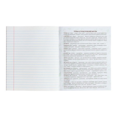 Subject notebook Calligrata Top "School style", 48 sheets in the literature line, with reference material, plastic cover, offset unit-4