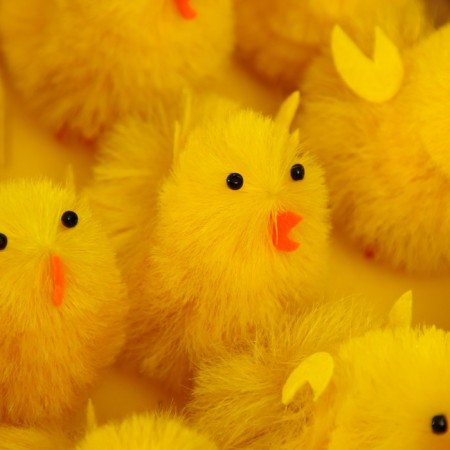 Easter souvenir "Fluffy chicken" set of 15 pcs 7.5x5x5 cm-1