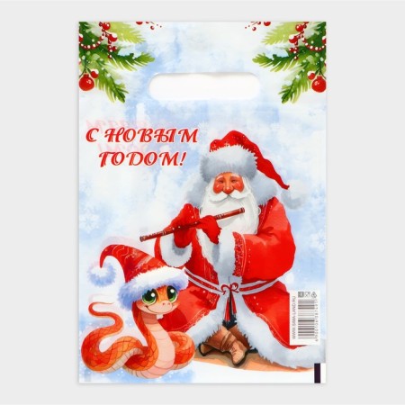 New Year. Santa Claus and Snake Package, polyethylene with a cut pen, 20x30 cm.-1