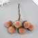 Flowers for decorating "clap" beige 1 bouquet = 6 branches d = 2 cm 11 cm