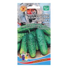 Seeds of the Petersburg Express - Kornishon, 8 pcs