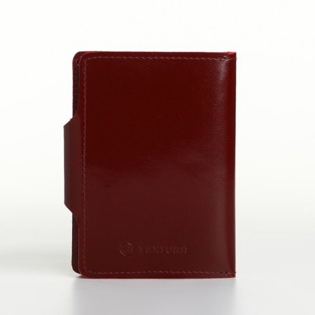 Cover for autoDocations and passports on the button, textura, color-1
