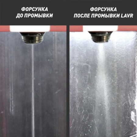 Washing the injection systems of gasoline engines LAVR ML101 with a split action, 1 liter-3