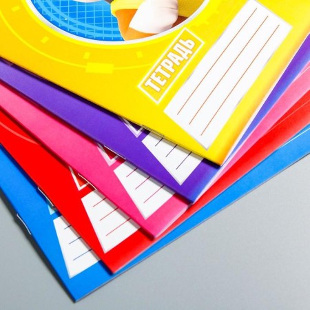 Notebook in a cage 12 sheets, 5 types of mix, cover coated cardboard, puppy patrol-2