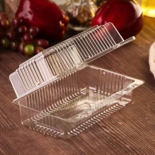 A plastic disposable container with an insoluble lid, 18.4 × 11.2 × 7.9 cm, internal 16.2 × 8.2 × 6.6 cm, is a transparent color