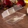 A plastic disposable container with an insoluble lid, 18.4 × 11.2 × 7.9 cm, internal 16.2 × 8.2 × 6.6 cm, is a transparent color