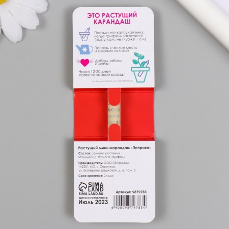 Growing gift pencils Mini act decisively "Paprika"-1