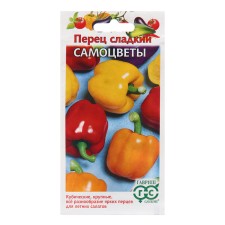 Seeds of pepper 