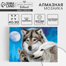 Алмазная мозаика с частичным заполнением «Волки», 30 х 40 см. Набор для творчества