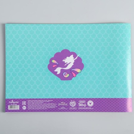 Album for drawing A4, 40 sheets 100 g/m², on paper, princesses-2