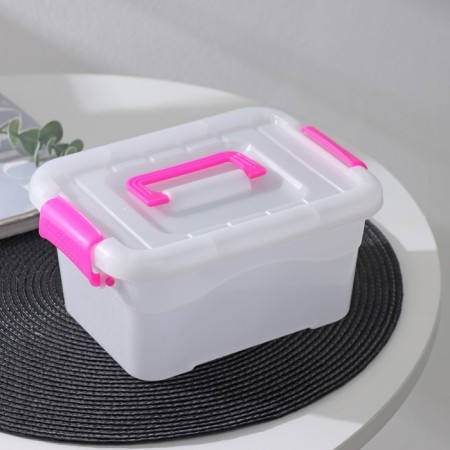 Storage container "Diplomat", 20.5 × 15 × 9.5 cm, cover with a handle on the latch, color mix-2