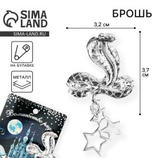 Brooch New Year's 
