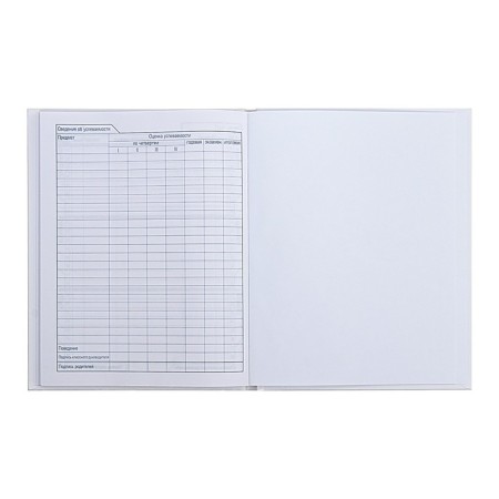 Universal diary for grades 1-11 "Romance", hard cover, matte lamination, sparkles, 40 sheets-8