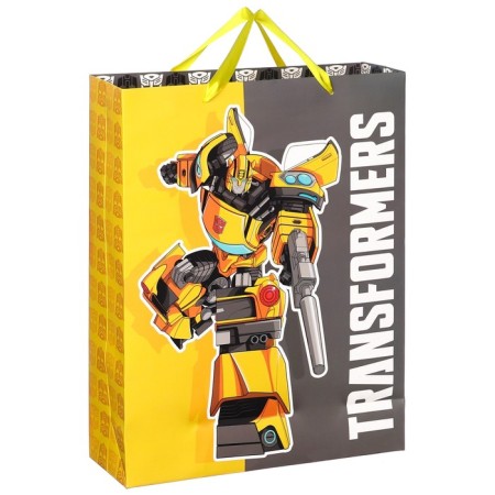 Laminated vertic package, 31x40x1.5 cm, Minnie, transformers, cat Marie, emergency mix-5
