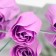 Soap roses, purple, set of 3 pcs.