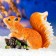 Garden figure "Squirrel on a branch with cones" 14x24x21cm