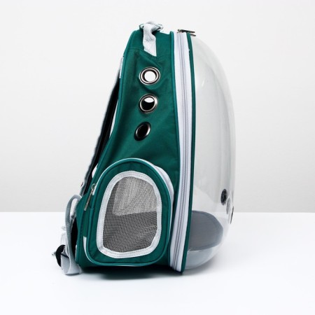 Backpack for carrying animals, transparent, 31 x 28 x 42 cm, green-1