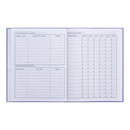 Universal diary for grades 1-11 My Plush Friend, solid cover, glossy lamination, sparkles, 40 sheets-5