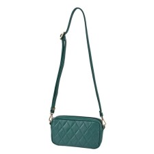 Bag Female claim. Kozh, lightning, green color