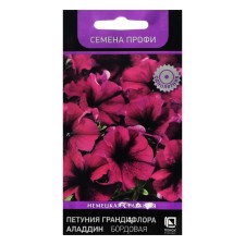 Seeds of flowers of Petunia Grandiflora 