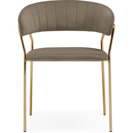 SHAMENT STALLIA Kamelia 1 metal/velor, gold/cappuccino 60x52x79 cm-1