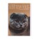 Notepad A6, 40 sheets on the clip "kittens", mix