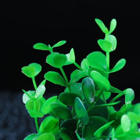 Artificial aquarium plant, 14 x 12 x 17 cm-2