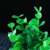 Artificial aquarium plant, 14 x 12 x 17 cm