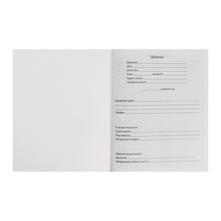 Diary in a soft cover, for grades 5-11, 48 sheets, calligrata "Call in the mountains"-3