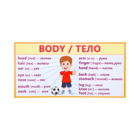 A set of cards-fluids "for primary school" 3-4 class, 10 cards, 20x10 cm-23