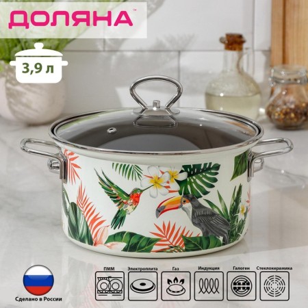 Poster Podlyana "Tropics", 3.9 l of a glass cover, induction