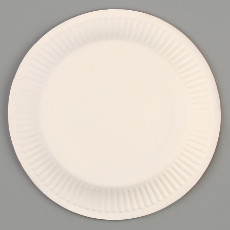 Paper plates, 6 pcs.-2