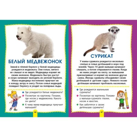 Cubs of animals. Photo book for the smallest-6