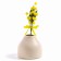 Decorative twig "Mimosa with tape", 20 × 8 × 2.5 cm