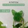 Mounts for climbing plants, 4*4 cm butterfly (set 10 pcs) self -adhesive
