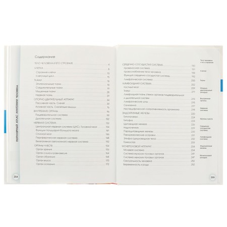 Популярный атлас анатомии человека. Палычева Л.Н.-4