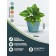 Kashpo for flowers and plants, 30 liter blue stone 41x41x33cm