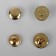 Magnetic, installation buttons, d = 14 mm, 10 pcs, gold color